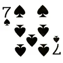cd7s