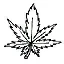 10weed