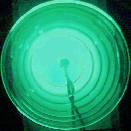 greenlight