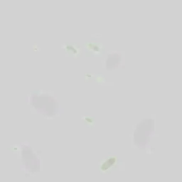 xex