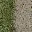 country_road1