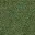 desgreengrass