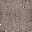 dorogax