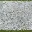 grass_path_law