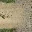 ruscount_roadsandconn