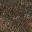 rust_dark1