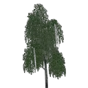 lod_paperarz