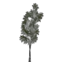 lod_papernew2