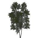 lod_papernew3