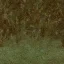 oldgrs2_bld_citygrass