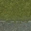 grass_cpark
