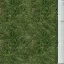 border_grass