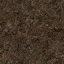 grass1_a