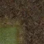 newgrassbrnles2