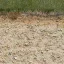 ryz_sandholewall
