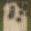 ryzozero_sandsth_roadlms