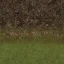 newgrassbrnles