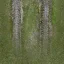ruscount_dirtroad_end