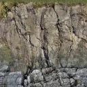 ruscount_tailing_cliff_rel
