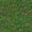 special_ground