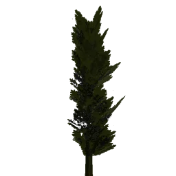 lod_norwpine2