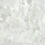 white_64