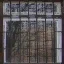 window1