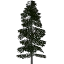 lod_e1