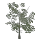 lod_eub_1