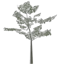 lod_eub_2