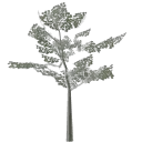 lodeu_veg2