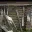 home_b1