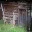 saray_l1