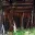 saray_r1