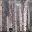 saray_up2