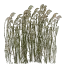 polehighgrass1