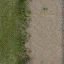 country_road1