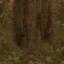 oldgrass2_drdend