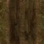 oldgrass2_droad