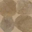 hunter_wood_torec