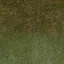 ryz_xvoinles_grassmix