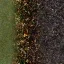 ruscount_bolotograssmix