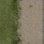 country_road1