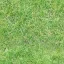 love_grass