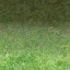 love_ground1