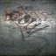 dver2