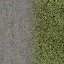 astograss