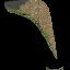 reg_grdigr