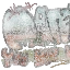 gb_grafittimanhunt_m