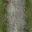 crete_walls13